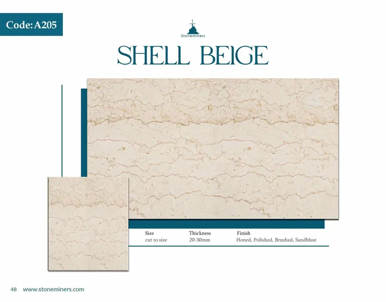 Shell Beige Marble slab